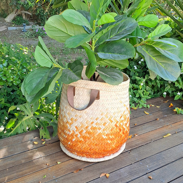 Colourful laundry basket (various)