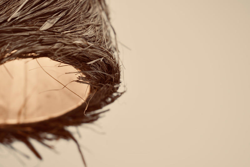 Bird's nest lampshade