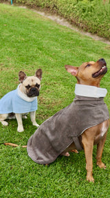 Dog coat - dusty blue