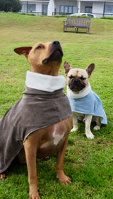 Dog coat - dusty blue