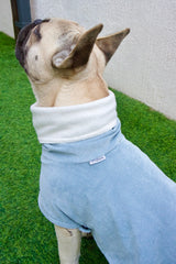 Dog coat - dusty blue