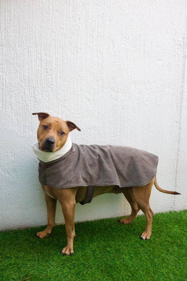 Dog coat - charcoal