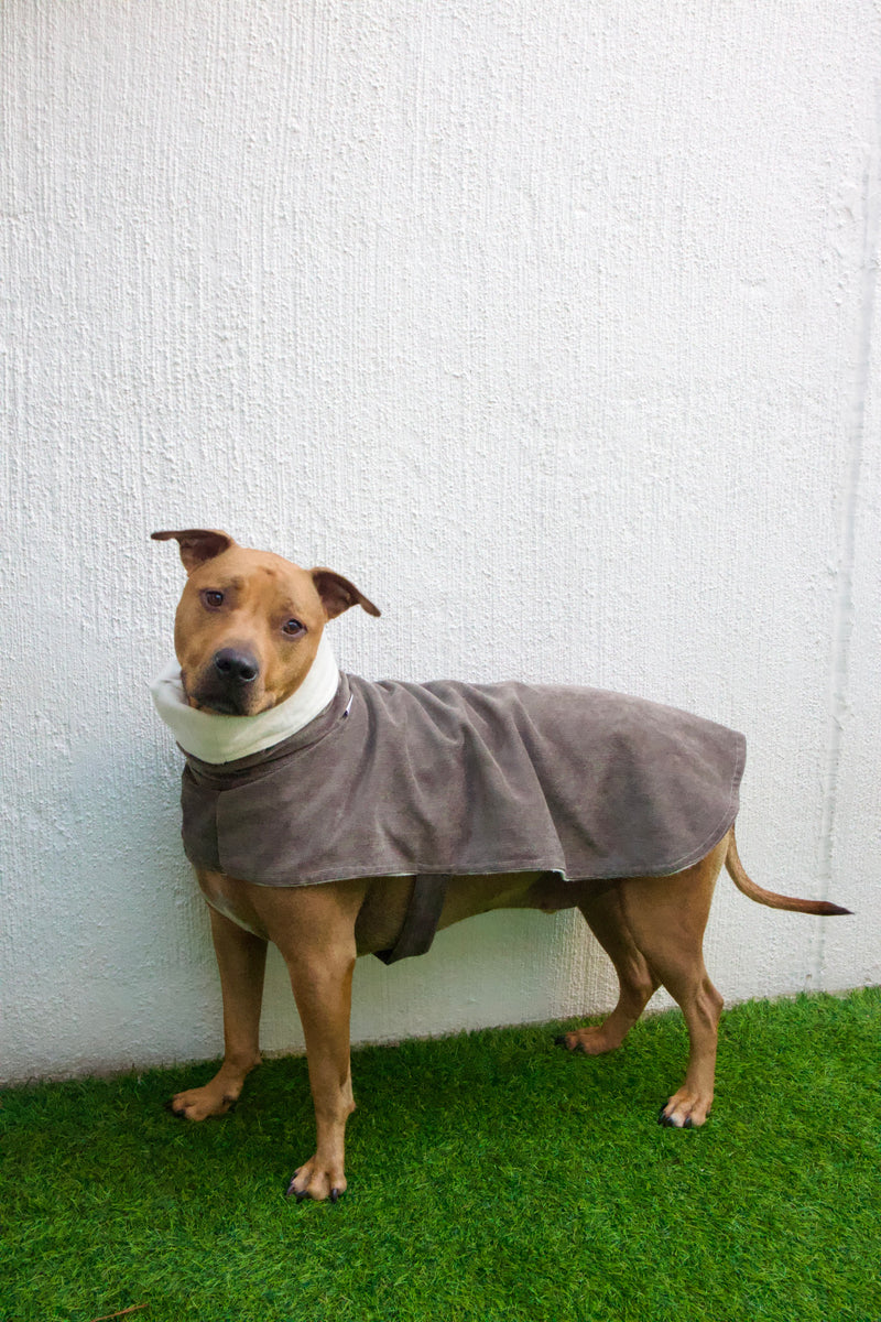 Dog coat - charcoal