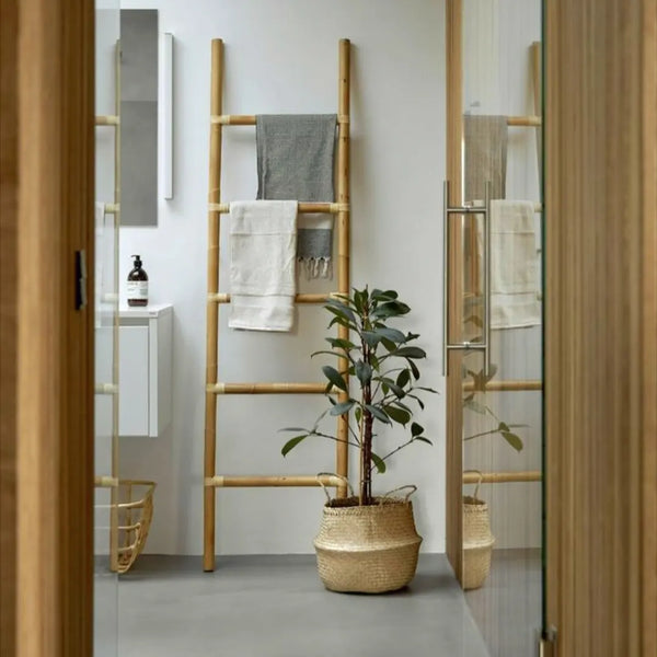 Bamboo Ladder