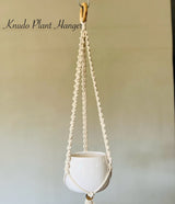 Macrame plant holder (various styles)