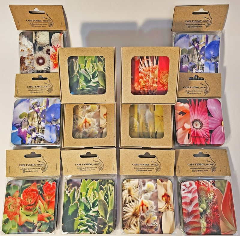 Fynbos coasters - set of 6