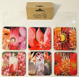 Fynbos coasters - set of 6