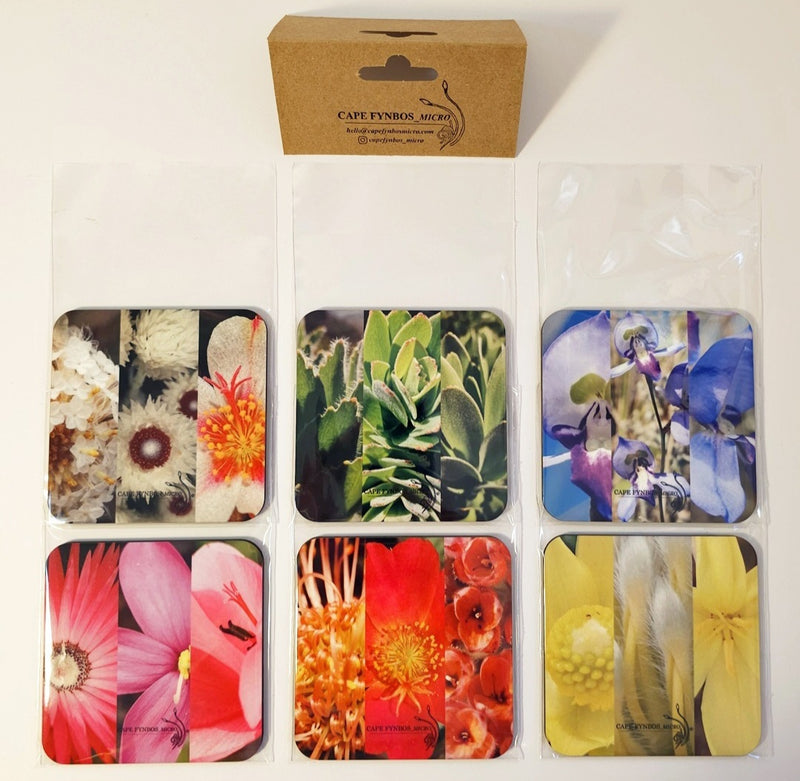 Fynbos coasters - set of 6