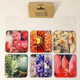 Fynbos coasters - set of 6