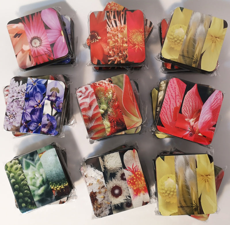 Fynbos coasters - set of 6